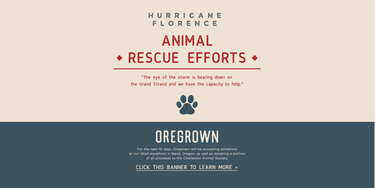 Hurricane Florence Pet Donations: Helping to Save More Animals