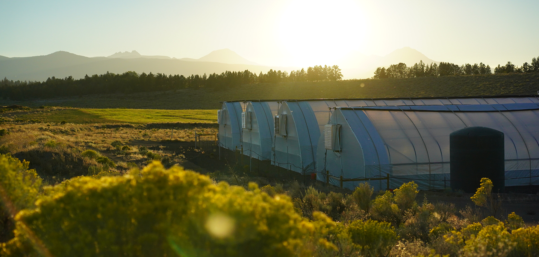 Eugene OR Oregrown Flagship