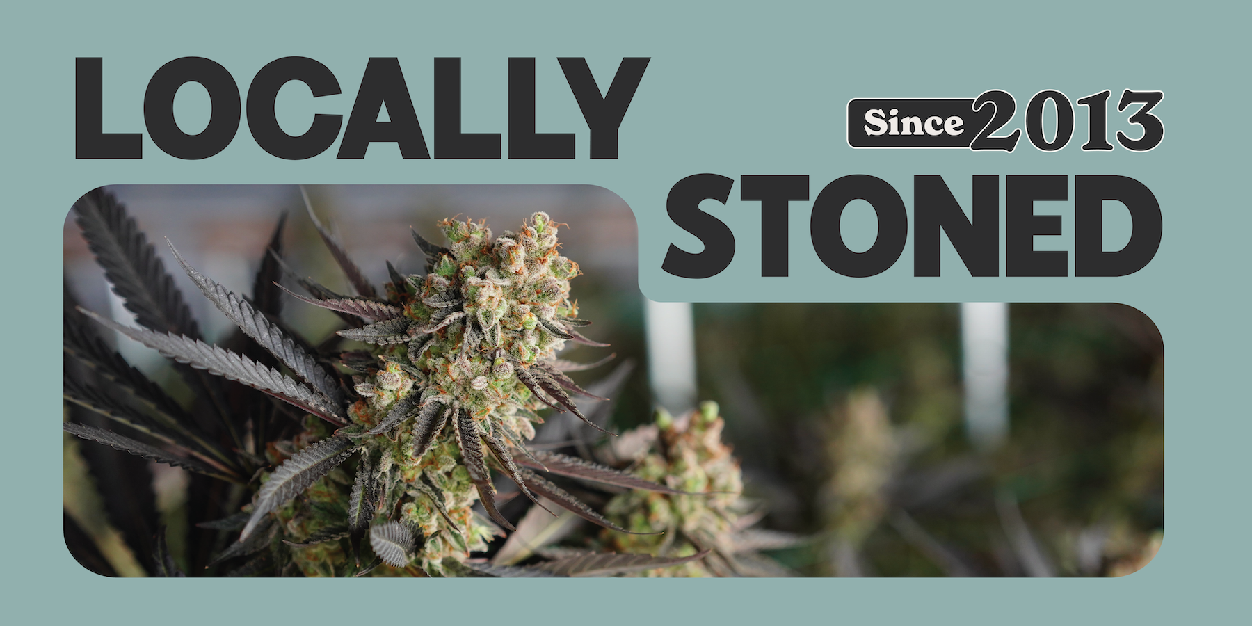 Bend OR Oregrown Flagship